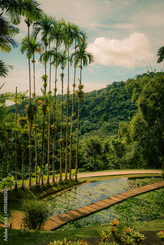 Balata Martinique exotic garden flowers 