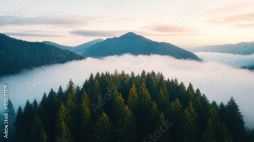A serene mountain landscape shrouded in mist, with evergreen trees in the foreground under a soft, colorful sky.