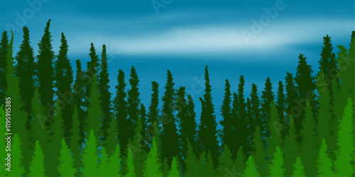 pine tree forest nature background with blue sky and cloud.