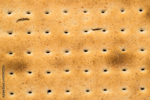 cracker, closeup, perforated, bread, hard, background, texture, structure, pattern, regular