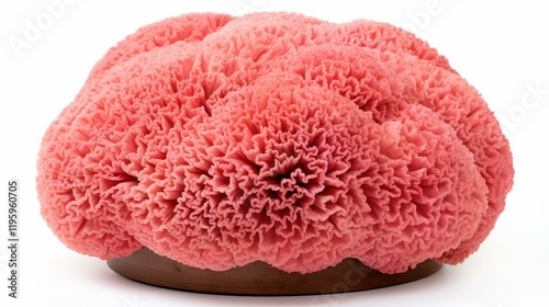Vibrant pink coral adds a pop of color, perfect for enhancing your beachthemed decor or creative project needs.