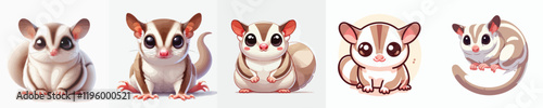 collection of cute and adorable sugar glider vectors