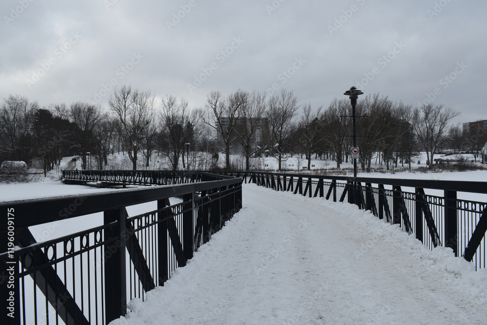 Sherbrooke 14 Janvier 2025