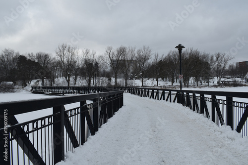 Obraz na płótnie Sherbrooke 14 Janvier 2025 w salonie