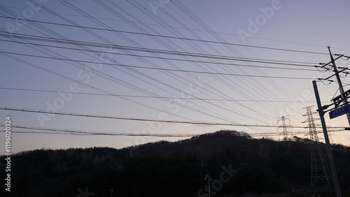 lines