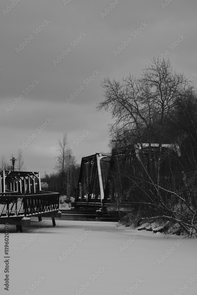 Sherbrooke 14 Janvier 2025 - N&B