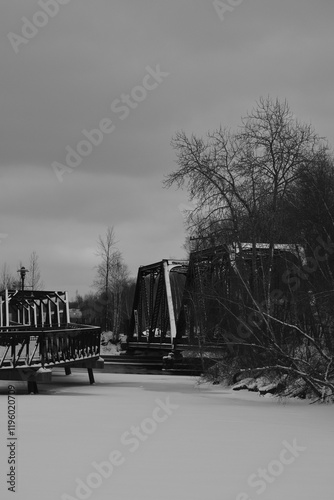 Obraz na płótnie Sherbrooke 14 Janvier 2025 - N&B w salonie