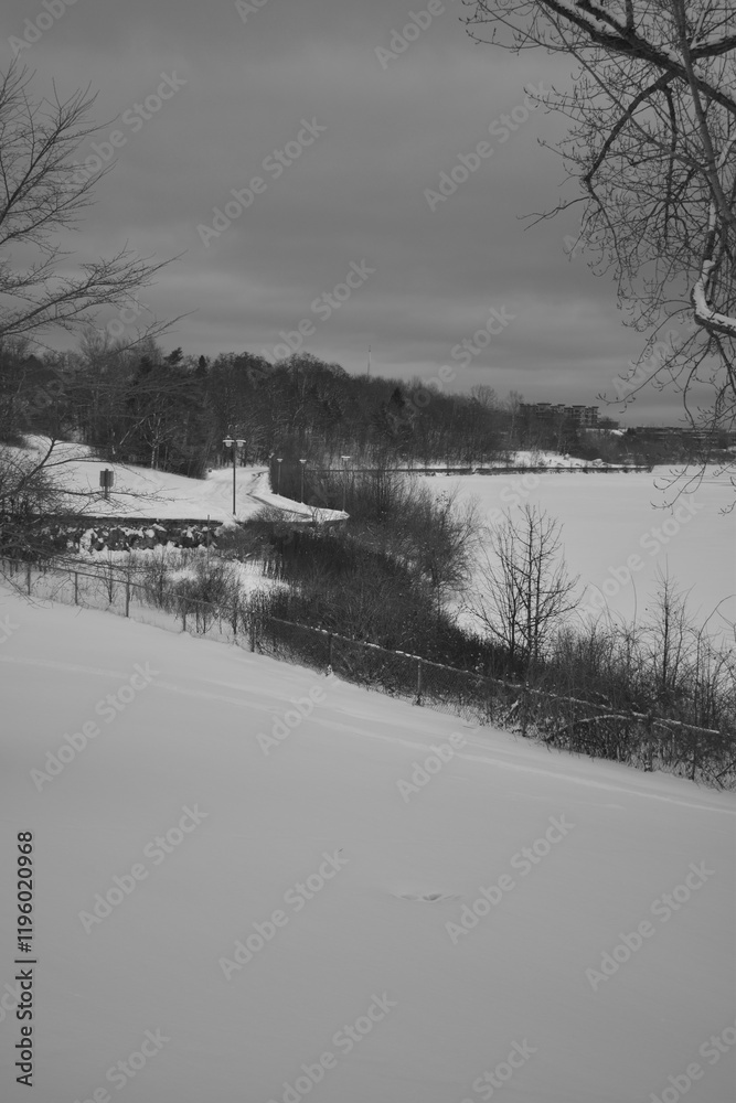 Sherbrooke 14 Janvier 2025 - N&B