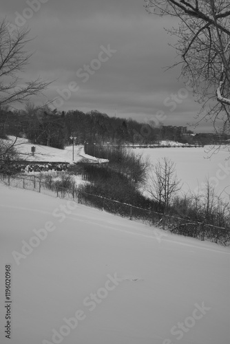 Obraz na płótnie Sherbrooke 14 Janvier 2025 - N&B w salonie