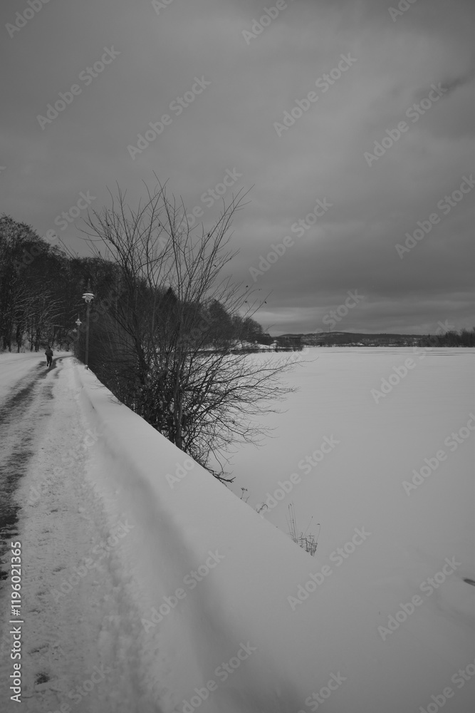 Sherbrooke 14 Janvier 2025 - N&B