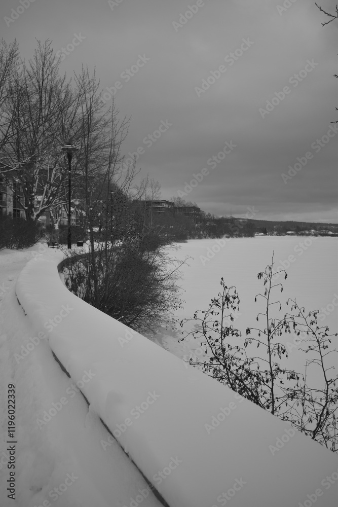 Sherbrooke 14 Janvier 2025 - N&B