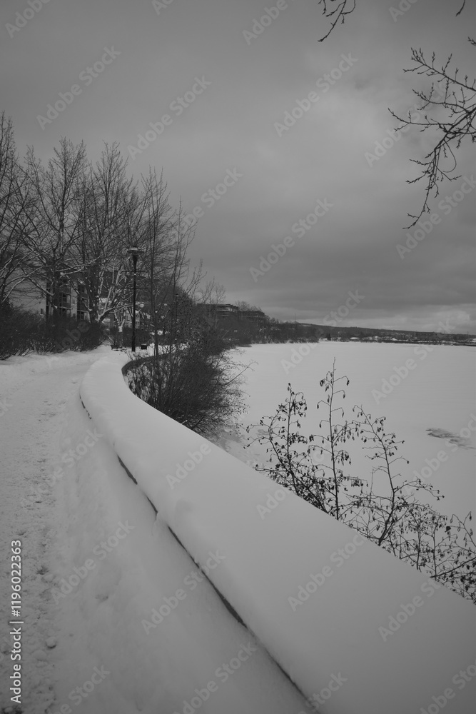 Sherbrooke 14 Janvier 2025 - N&B