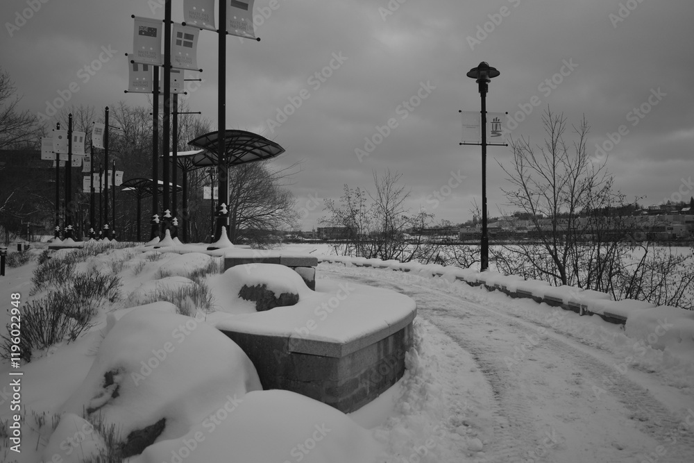 Sherbrooke 14 Janvier 2025 - N&B
