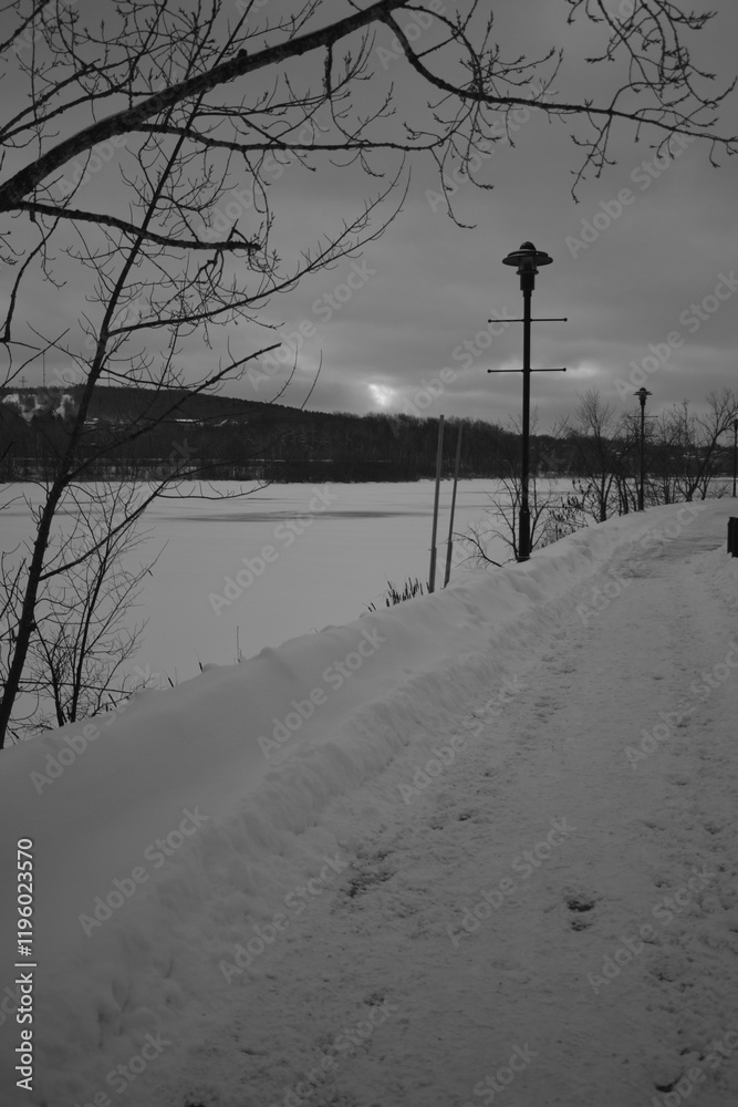 Sherbrooke 14 Janvier 2025 - N&B