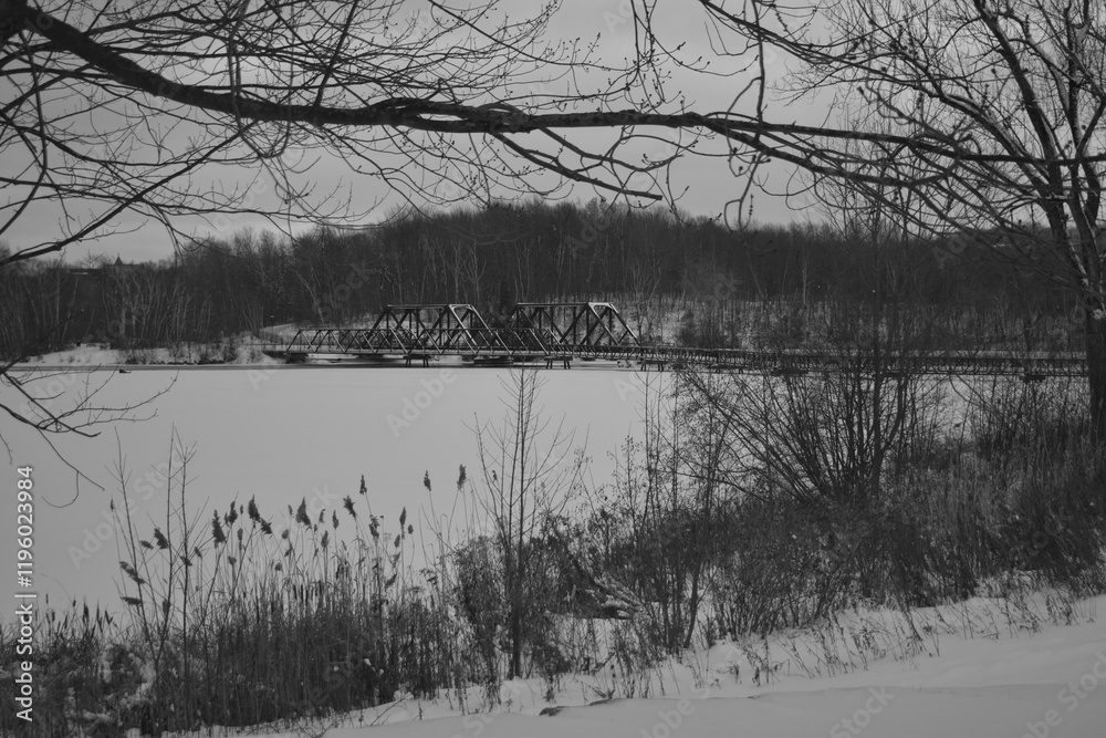 Sherbrooke 14 Janvier 2025 - N&B