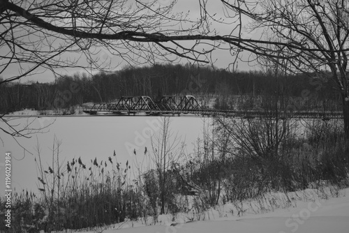 Obraz na płótnie Sherbrooke 14 Janvier 2025 - N&B w salonie