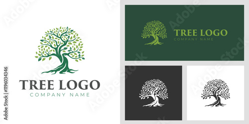 Nature Tree of life logo design. vector graphic Natural Tree growing concept design illustration