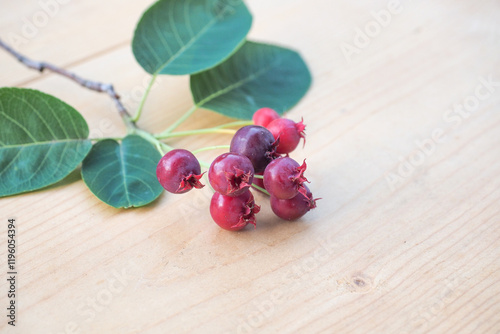 庭で採ったジューンベリーの実と葉の写真