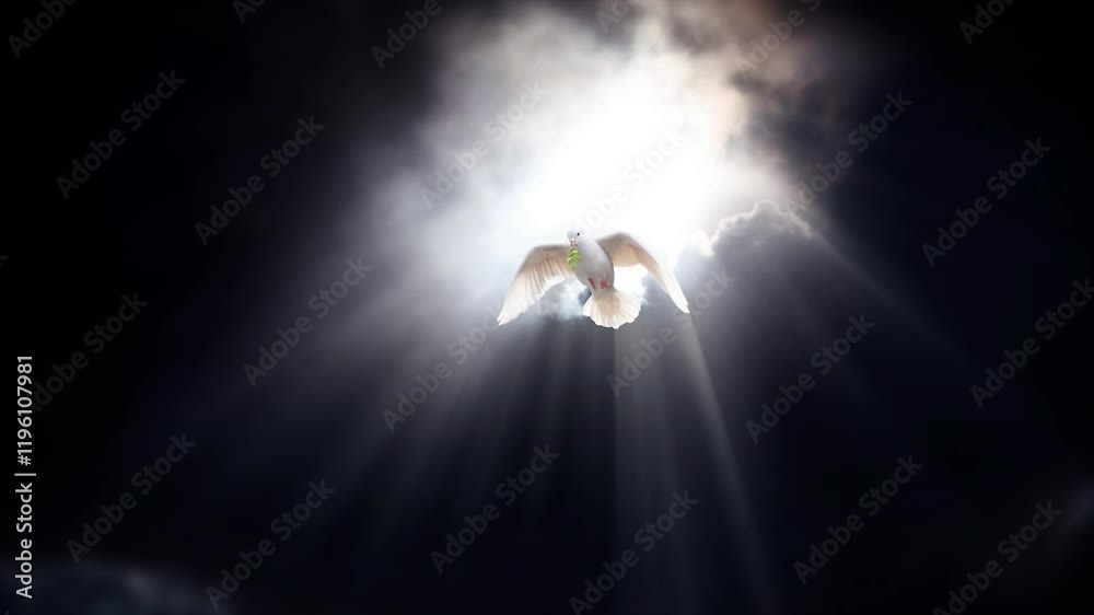 Bright and strong sunlight shines through the dark sky and dark clouds, and a white dove, a symbol of freedom and peace, flies in with a leaf in its beak.
