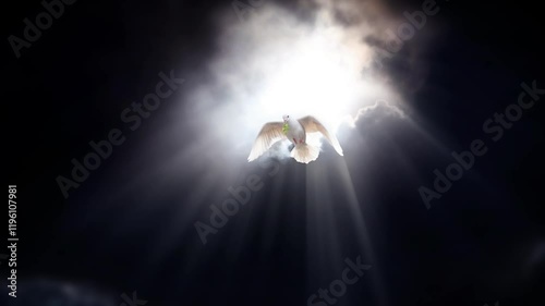 Bright and strong sunlight shines through the dark sky and dark clouds, and a white dove, a symbol of freedom and peace, flies in with a leaf in its beak.
