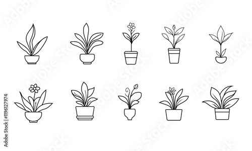 hand drawn outline botanical floral and leaves collection, plants in flowerpot simple line art vector art, vintage logo stock