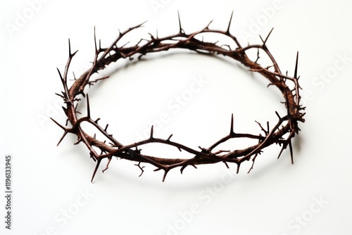 Crown of Thorns wire white background accessories. photo