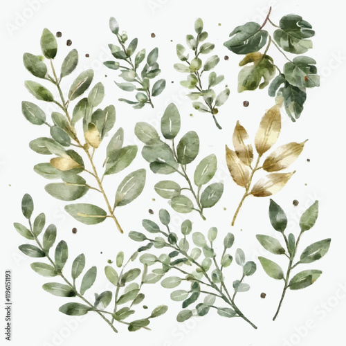 Watercolor floral illustration set - green & gold leaf branches collection, for wedding stationary, greetings, wallpapers, fashion, background. Eucalyptus, olive, green leaves, etc.