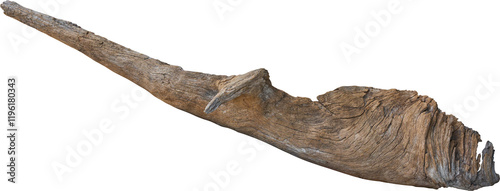 Dry branch tree naturally.