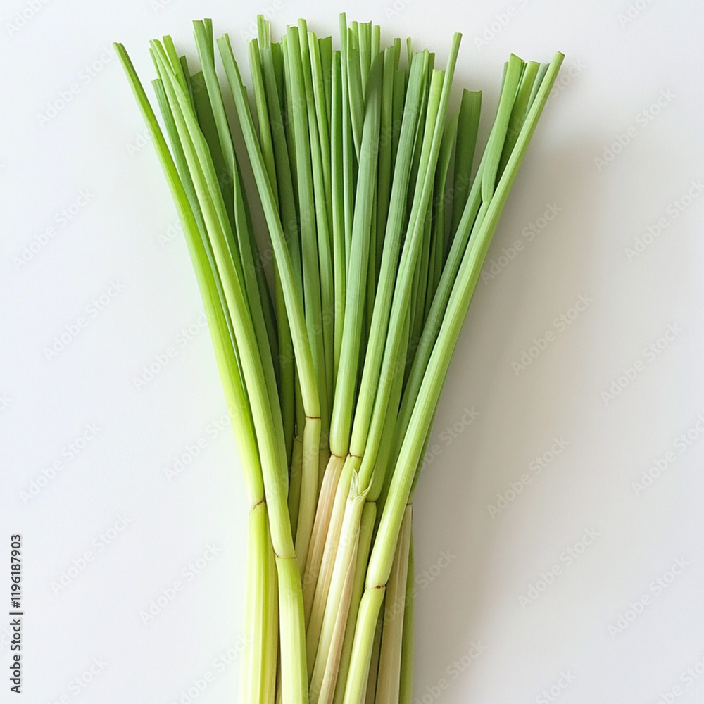 Obraz premium bunch of fresh green onions