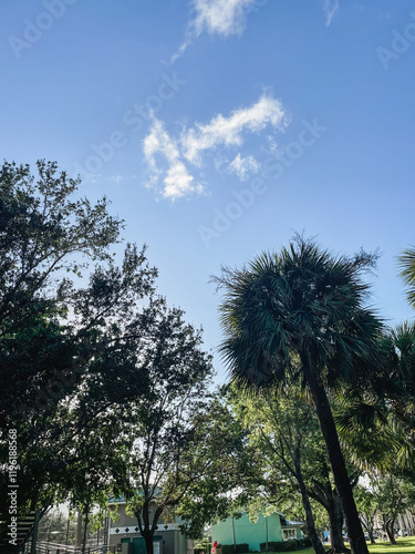 Lush green park under blue sky