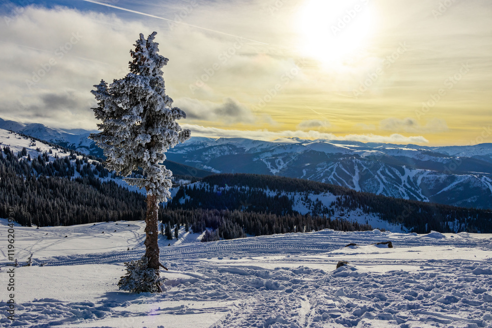Fototapeta premium Winter Park, Colorado