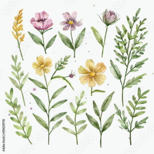 Set watercolor wild flowers  leaves and grass. Collection botanic garden elements. Vector isolated illustration in vintage style