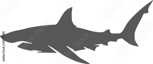 Shark silhouette flat illustration on isolated background