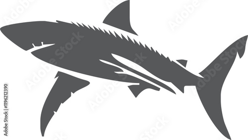 Shark silhouette flat illustration on isolated background
