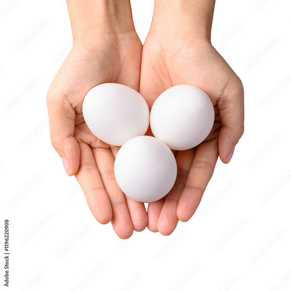 White eggs holding by hand, Top view White eggs holding by hand, Top view