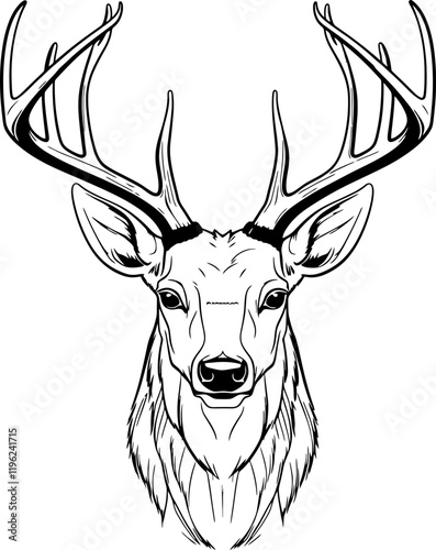 Handdrawn deer drawing 