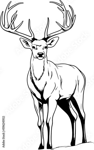 Handdrawn deer drawing 