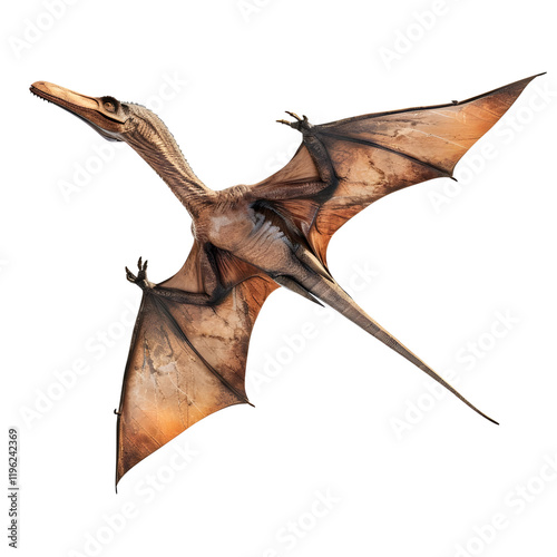Pterodactyl Flying isolated on transparent background