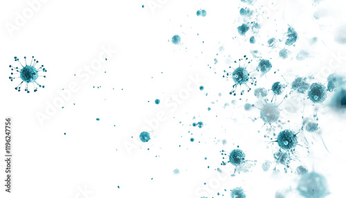 different type of bacteria png