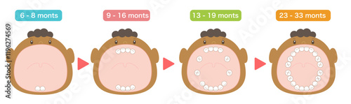 Black Baby teeth eruption order and baby with its mouth wide open.