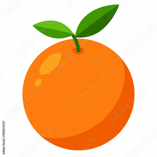 vector illustration of an clementine