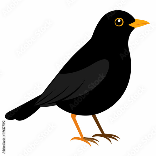 vector illustration of a common blackbird