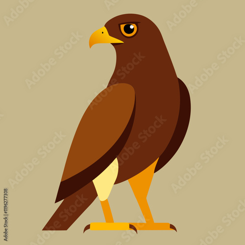 common buzzard vector illustration
