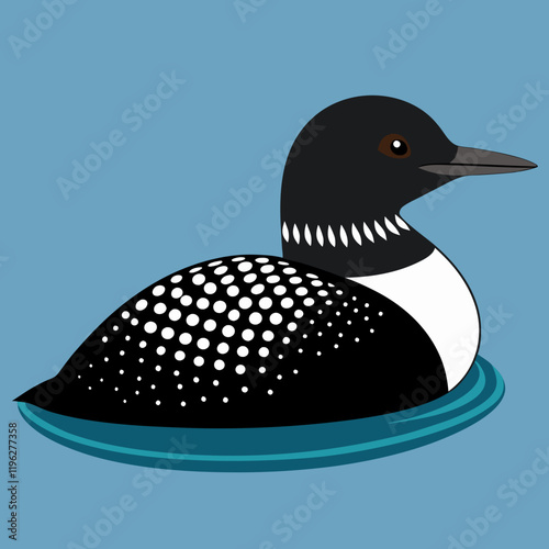 vector illustration of a common loon