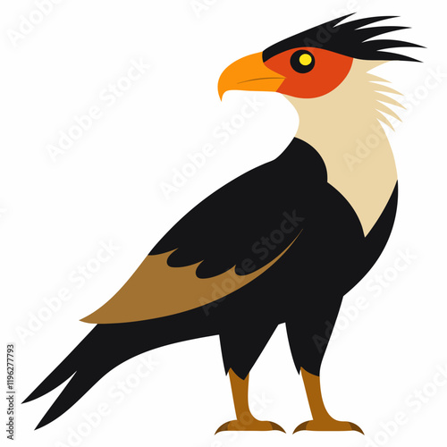 illustration of a crested caracara