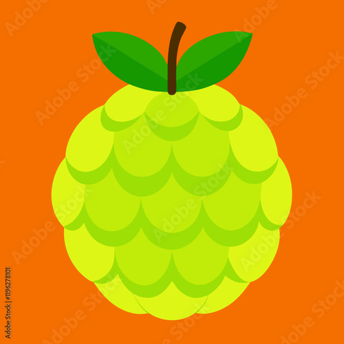 vector illustration of an custard apple