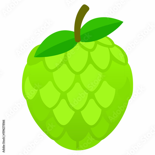 vector illustration of an custard apple