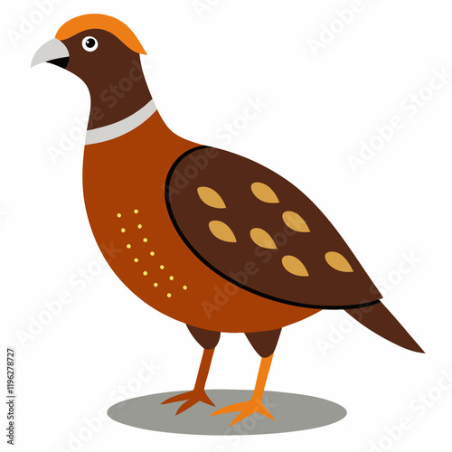 vector illustration of a dusky grouse bird