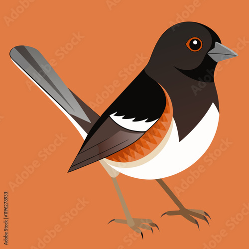 vector illustration of a  eastern towhee bird