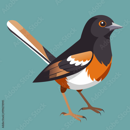 vector illustration of a  eastern towhee bird